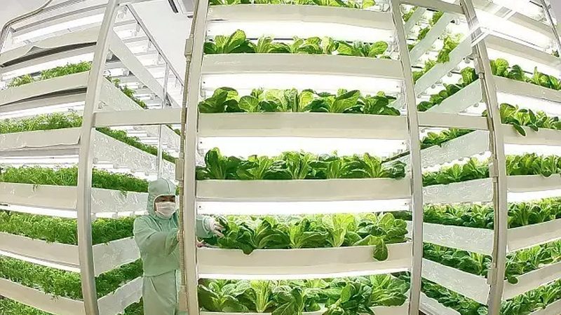 农业种植培训：费用构成与合理选择**