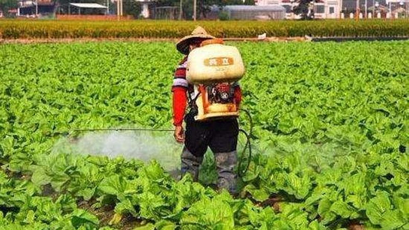 小型农产品批发商前期准备：关键步骤与注意事项**