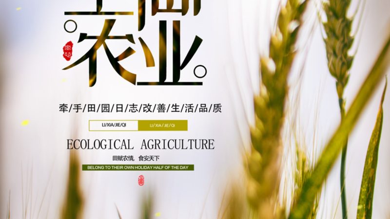 小型生态农场手续办理全攻略