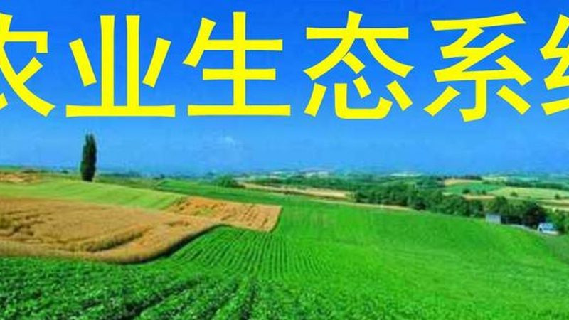 水肥一体化设备：智慧农业的精准灌溉之道