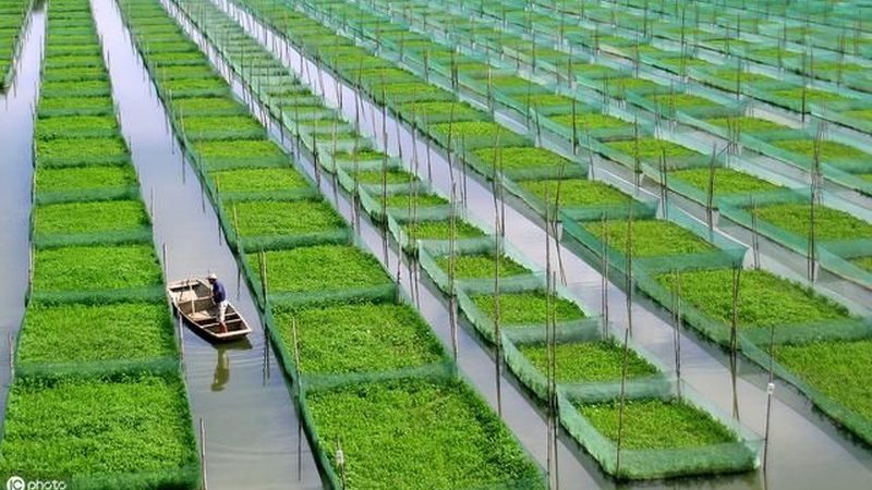 定制批发布袋：农产品包装的绿色革命