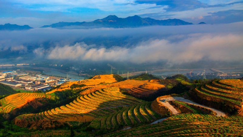精准计算，科学种植：种植地块面积计算方法解析**