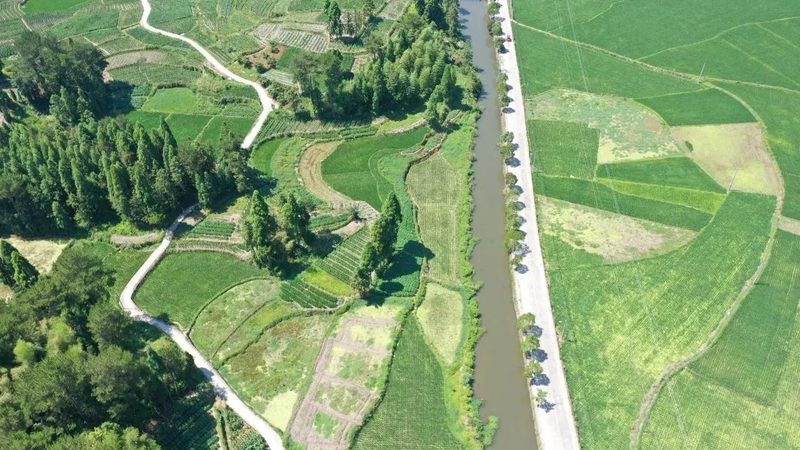 粮食种植土壤要求规范：从基础到实践指南