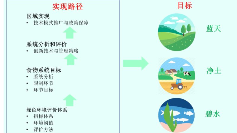 有机蔬菜蒸糕：传统美味与生态健康的完美结合**