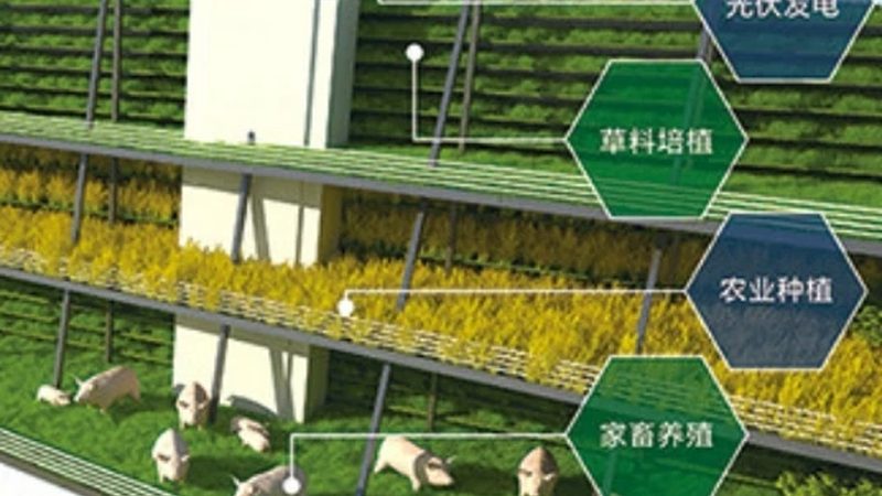 温室大棚智能灌溉：如何精准高效，降低成本？**